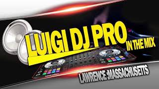 LUIGI DJ PRO NACIONALES MIX [upl. by Diskson]