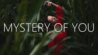 Exede  Mystery Of You Lyrics MEDZ Remix [upl. by Yerrot]