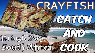 Crayfish Catch And Cook  West Coast Rock Lobster In Pringle Bay South Africa [upl. by Alemrac385]