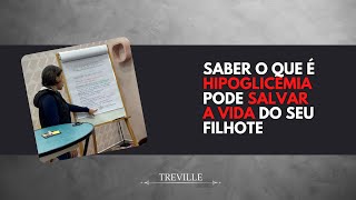 Saber o que é Hipoglicemia pode salvar a vida do seu filhote [upl. by Tnahs755]