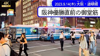 【緊急動画】阪神優勝直前の御堂筋2023914 [upl. by Halihs]