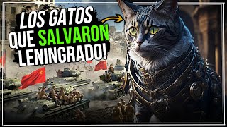 🐈La División Maullido  Los Gatos que Salvaron Leningrado 19411944  Segunda Guerra Mundial [upl. by Bourne757]