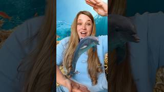 Ocean Animals 🐬 Opposites Song kidssongs kidslearning [upl. by Gilmore]