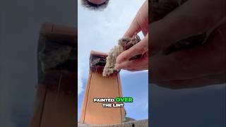 Shocking Dryer Vent Discovery What Painters Missed dryer [upl. by Juley]