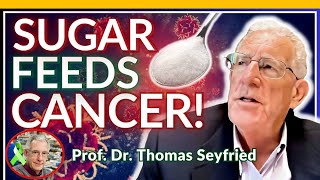 Prof Thomas Seyfried Full Interview  How KETO DIET Works in CANCER [upl. by Nnylirret]