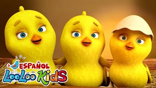 🐤🐥Los Pollitos Dicen Pio Pio  La Vaca Lola  Canciones Infantiles para niños  LooLoo Kids [upl. by Ahsiam]