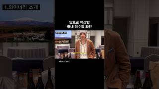 이태리 시실리 화산섬에서 만든 와인은 어떤맛일까 이태리와인 시아라와인 와인추천 sciarawine 감베로로소 [upl. by Navis]