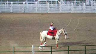 DalmatianAppaloosa Demonstration at Horse Extravaganza [upl. by Fenella]