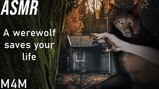 ASMR M4M  A werewolf saves your life [upl. by Orgalim53]