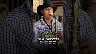 polka tamaulipas envívo grupoinercia polkas musica nortenasconsax regionalmexicano parati [upl. by Irtimd]