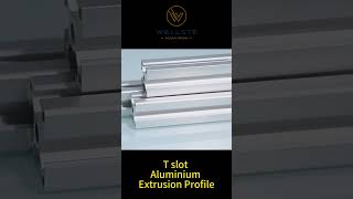 T slot Aluminium Extrusion Profile wellste [upl. by Klayman786]