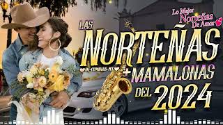 Norteñas Mix 2024💃 Cumbias Norteñas Para Bailar💃 Las Norteñas Más Mamalonas del 2024 [upl. by Inalial100]