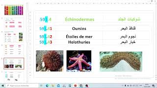 🎨 G E D CLASSEMENT DECIMAL ZOOLOGIE نظام التصنيف العشري the decimal classification system [upl. by Siroved969]