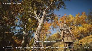 Assassins Creed Odyssey  Humains et ours figés [upl. by Hsihsa]