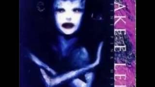 Jake E Lee  A Fine Pink Mist 1996 Full Album [upl. by Merrili130]