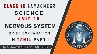 SAMACHEER CLASS 10 SCIENCE UNIT 15 NERVOUS SYSTEM PART 1  EXPLANATION IN TAMIL [upl. by Ardnasal854]