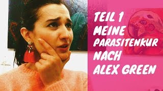 Erfahrungen Parasitenkur nach Alex Green  Teil 1 Meine Motivation  301217 [upl. by Aztiray448]