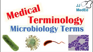 Medical Terminology  The Basics  Microbiology and Infectious Diseases Lesson [upl. by Anelat297]