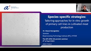 Tailoring approaches for in vitro growth of primary cell lines in cultivated meat production [upl. by Sahc685]