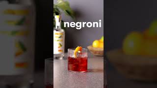 Negroni  Gin Cocktails by Steve the Bartender [upl. by Niltak]