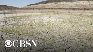 Historic drought impacting Colorado River basin [upl. by Akeemahs506]