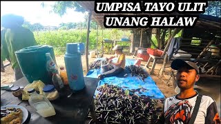 UMPISA TAYO ULIT UNANG HALAW SA TALONG LAING ALA APO DABU [upl. by Sonnnie]