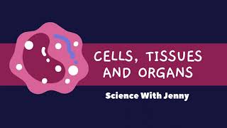 Cells Organs and Tissues Biology grade 7 [upl. by Cele]