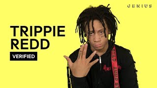 Trippie Redd quotBust Downquot Official Lyrics amp Meaning  Verified [upl. by Adamek]