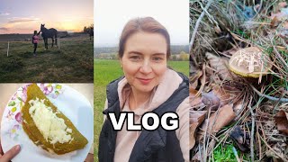 Drama v lese  Halloween  Nový recept  Náš víkend  Podzimní prázdniny na farmě  VLOG [upl. by Ariella]