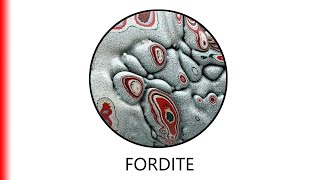 FORDITE [upl. by Adamik]