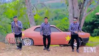 LOS HERMANOS MEZA  tus mentiras VIDEO OFICIAL✓2018 [upl. by Teeniv]