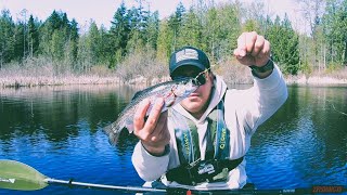 TROUT CATCH amp COOK ON THE KAYAK [upl. by Wadleigh]