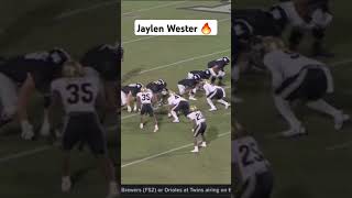 Jaylen Wester 🔥  Colorado Jr LB 25 [upl. by Aracahs]