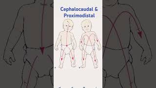 Cephalocaudal amp Proximodistal by Mamta Mam exam homescience education viralvideoviralshorts [upl. by Talich735]