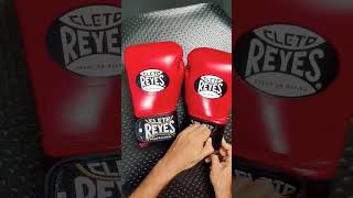 Cleto Reyes  Boxing Gloves  14oz  Extra Padding [upl. by Desireah693]