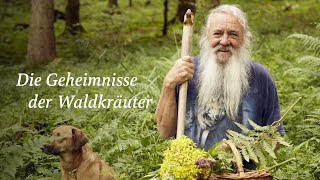 Die Geheimnisse der Waldkräuter  Helfer Heiler und Rebellen [upl. by Hobie]