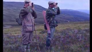 Sporting Scene  Red Deer Stalking by Barry Wilcox [upl. by Urania]