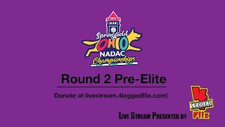 2019 NADAC Championships Round 2 PreElite [upl. by Eeuqram]