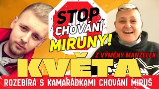 STOP CHOVÁNÍ MIRKY  TA RŮŽOVÁ  MIRUŠKA IN EGYPT  KVĚTA A SPOL O CHOVÁNÍ KROCANA  LIVE  ZÁZNAM [upl. by Trubow193]