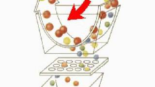 How the Body Works  The Filtering Mechanism [upl. by Yrennalf]