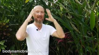 Biodynamic Breathwork BBTRSHome practice demo with founder Giten Tonkov [upl. by Ttevi]