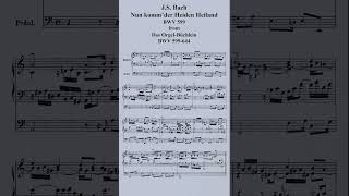 JS Bach Nun kommder Heiden HeilandBWV 599 2 pianosshorts [upl. by Korie]