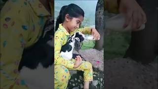 √ Cutest One  🥰 Princess Prathvi beta  most ideal  miss you now bestmoments trendingshorts 🥰 [upl. by Mela]