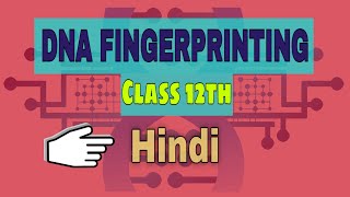 DNA Fingerprinting  DNA Fingerprinting class 12  Be Educated [upl. by Bond]