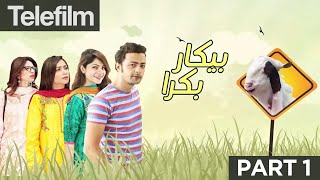 Bekar Bakra  Part 1  Eid Special Telefilm  Neelum Munir  Hina  Ahmed  Urdu1 TV [upl. by Eynobe]