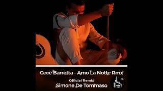 Cecè Barretta  Amo la Notte Rmx  Official Remix Simone De Tommaso [upl. by Photina697]