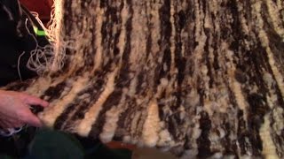 Making A Raw Wool Rug On A Hand Loom [upl. by Elokkin]