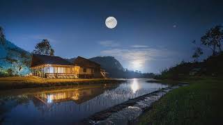 Relaxing Sleep Music and Night Nature Sounds Soft Crickets Relaxing Piano Deep Sleep Music [upl. by Oisor606]