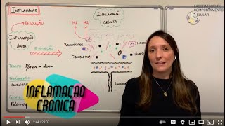 Patologia Geral  Aula Teórica  Inflamação Crônica [upl. by Jaine668]