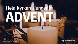 Hela kyrkan sjunger in Advent  Adventskonsert 2023 [upl. by Ahsaekal]